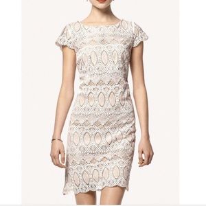 NWOT Eliza J Cap Sleeve White Lace Dress